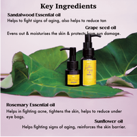 Melange Golden Massage Oil for stretch marks pregnancy safe