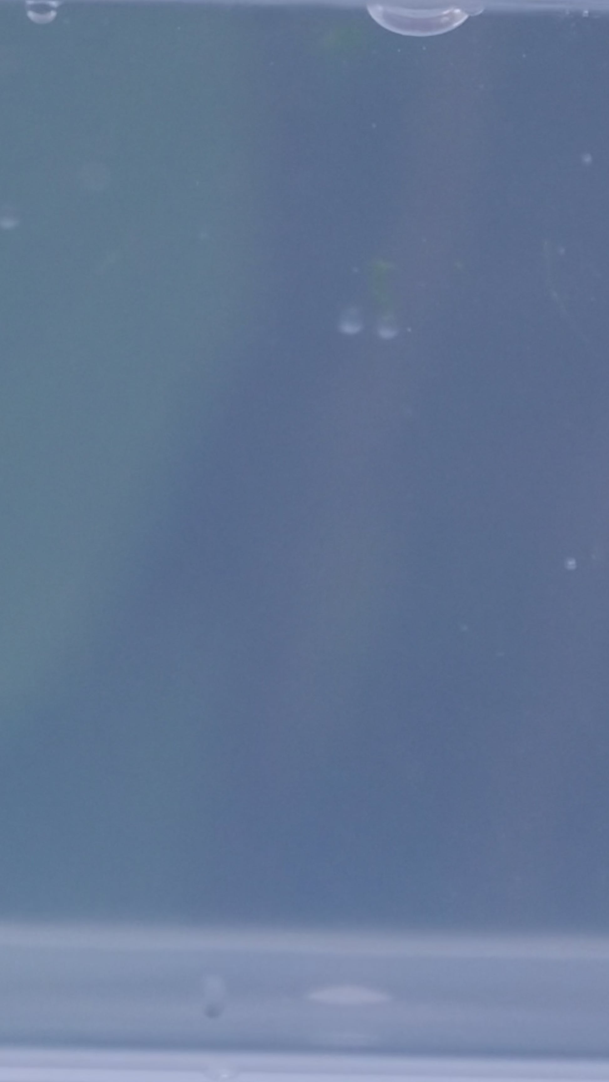 Melange Aloe Vera Gel – pure texture, only 2 natural ingredients