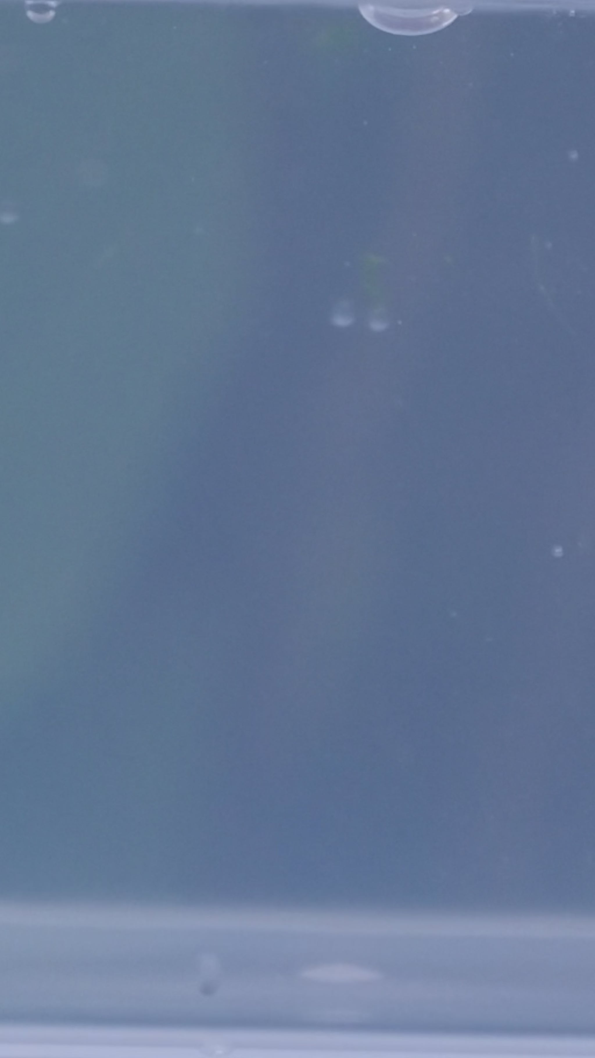 Melange Aloe Vera Gel – pure texture, only 2 natural ingredients